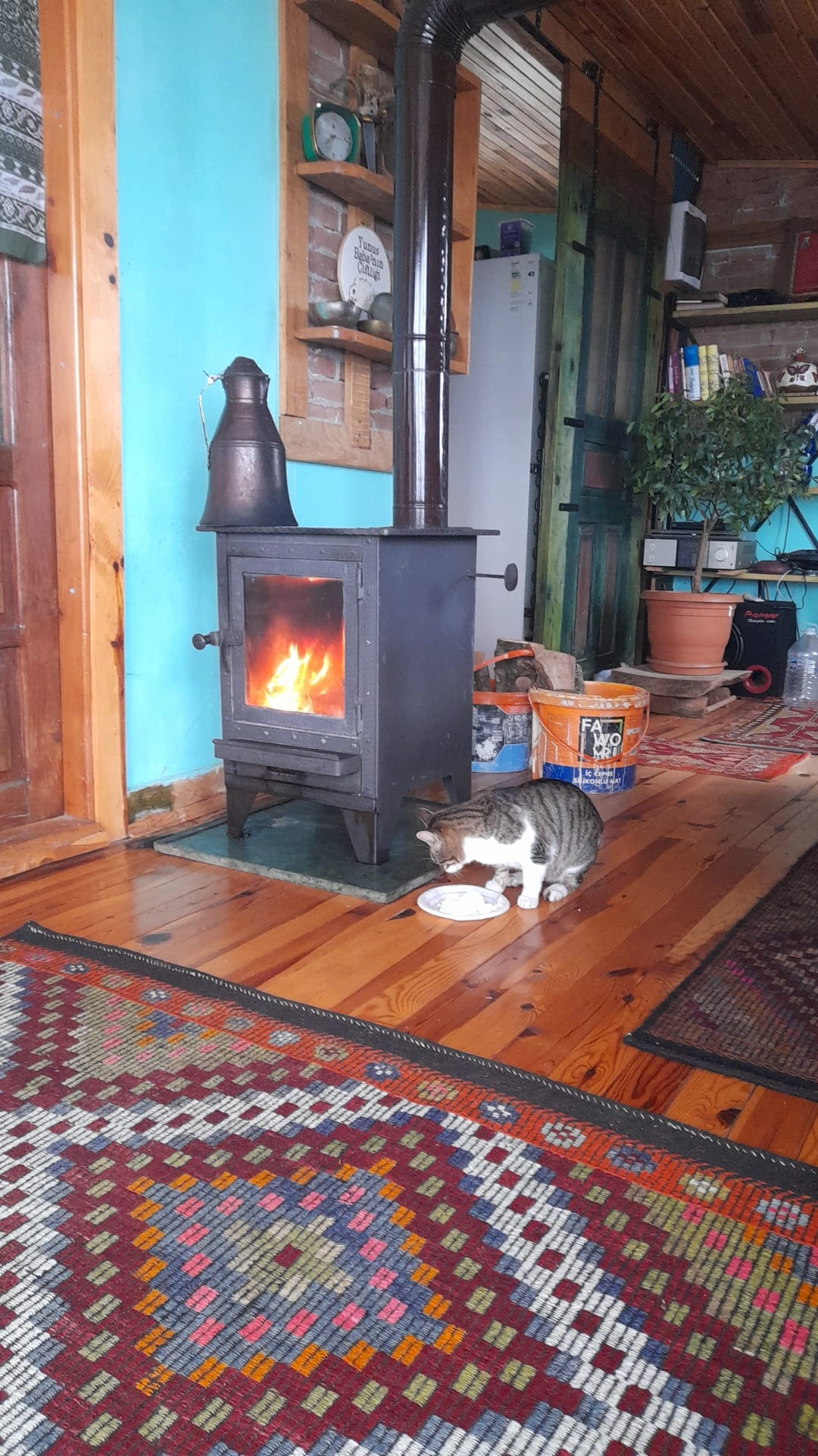 YUNUSBABA'nın ÇİFTLİĞİ