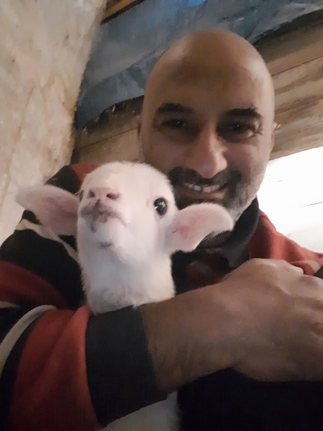 YUNUSBABA'nın ÇİFTLİĞİ