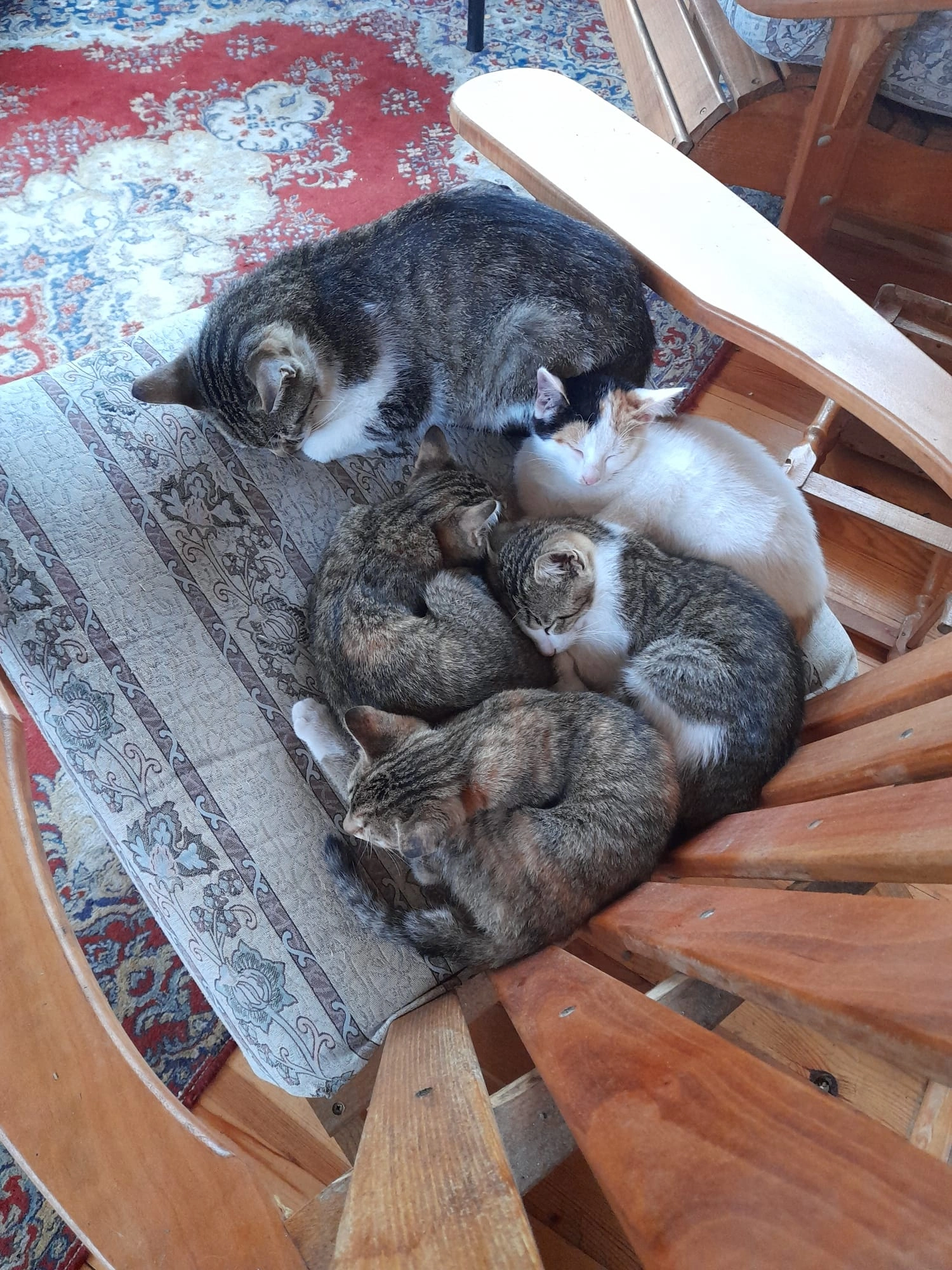 YUNUSBABA'nın ÇİFTLİĞİ