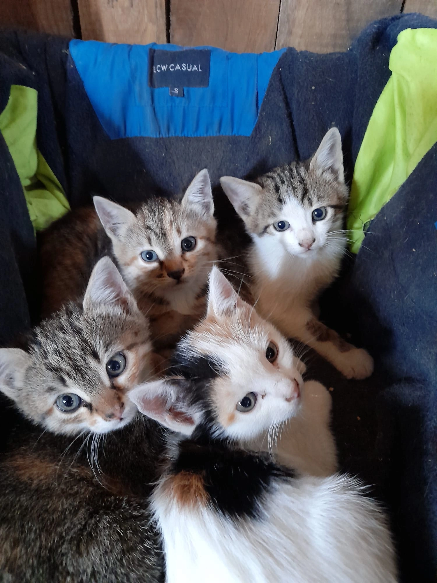 YUNUSBABA'nın ÇİFTLİĞİ