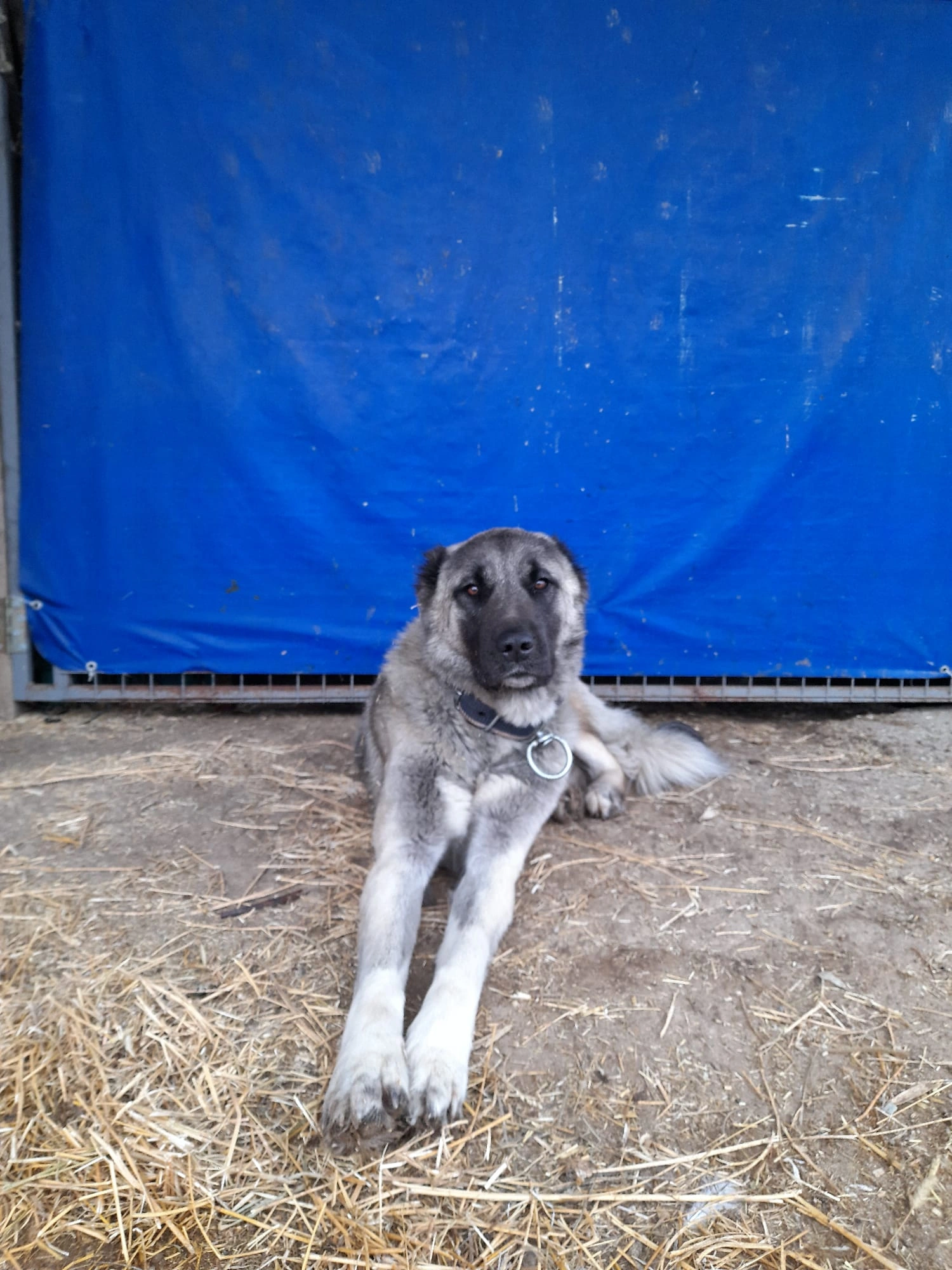 YUNUSBABA'nın ÇİFTLİĞİ